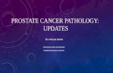 PROSTATE CANCER PATHOLOGY: UPDATES Program/GU... · experts in prostate cancer pathology from 17 different countries , clinical specialists in the fields of urology, radiation, and