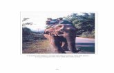 A domesticated elephant carrying agricultural products ...Phou Phanang 1 1996 Nakai/Nam Theun 45 1990-96 Hin Nam No 2 1990-95 Nam Phui 2 1995-96 Total 59 Domesticated elephants Lao