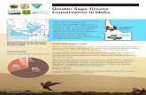 Greater Sage-Grouse Conservation in Idaho · 2015-09-22 · Mule deer Pronghorn herd Sage thrasher White-tailed jackrabbit Sagebrush in Idaho Redefining the Future of Conservation