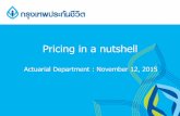 Pricing in a nutshell - Bangkok Life...BLA premium (Adjusted OIC premium) - Market feasibility (Premium level, Benefit) - Profitability measure (VNB, Profit margin) - Risk measure