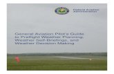 General Aviation Pilot’s Guide to Preflight Weather ... · Weather Decision-Making v. 1.0 Acknowledgements This guide is intended to help general aviation (GA) pilots, especially