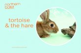tortoise & the hare - Welcome to Northern Ballet · 2015-10-21 · Tortoise arrives and Hare dashes past him again. When Squirrel offers Tortoise a game, he doesn’t join in but