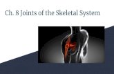Ch. 8 Joints of the Skeletal Systemtokaybiology.weebly.com/uploads/5/5/6/7/55670355/ch._8... · 2018-11-14 · Ch. 8 Joints of the Skeletal System. Part 1: Classifying Joints & Joint