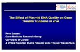 The Effect of Plasmid DNA Quality on Gene Transfer Outcome ... · Non-Viral Gene Transfer to Lung • Non-viral gene therapy for Cystic Fibrosis • Plasmid DNA complexed with cationic