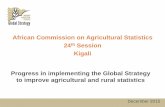 African Commission on Agricultural Statistics 24th …...• Funding gap: Rural statistics, Agri-environmental indicators, Funding Agriculture stats, Users needs, Data dissemination