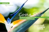 Costa Rica - PROCOMER...with an astonishing beauty, that can give an exotic touch to your home. Get to know our business owners, whom dedicate their lives to sprout their businesses