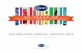 GS1 IRELAND ANNUAL REPORT 2013 · 2017-08-08 · GS1 Ireland’s vision is a world in which GS1 is the preferred industry standard to Identify, Capture and Share information among