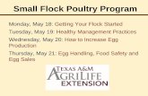 Small Flock Poultry Program · 2020-05-28 · Egg Economics Optimum production with minimum cost Less than optimum production add higher chick cost add higher feed cost add lower
