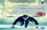 EMBA Executive MBA - Donau-Uni912545fd-5a20... · 10 seminal reasons for the Executive MBA > Orientation toward leadership, innovation and entrepreneurial > mindset > Focus on practice-oriented