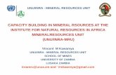 CAPACITY BUILDING IN MINERAL RSOURCES AT THE INSTITUTE … · UNU-INRA Mineral Resources Unit . Distinguishing features of ESDA Programs . 1. Programs ownership by leading Africa