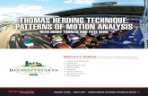PA YSIS - THTBloodstock · BELMONT STAKES | JUNE 6, 2015 | THOMAS HERDING TECHNIQUE: PATTERNS OF MOTION | 3 I don’t expect American Pharoah to give away anything, yet I also don’t