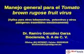 Manejo general para el Tomato brown rugose fruit virussinavef.senasica.gob.mx/Eventos/Content/Multimedia/Manejo... · 2018-12-07 · Dr. Ramiro González Garza Biociencia, S. A de