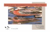 Canadian Shorebird Conservation Plannabci.net/.../Canadian-shorebird-conservation-plan.pdf · fined to the Arctic and sub-Arctic, Canada sup-plies over 75% of the North American/Western