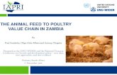 THE ANIMAL FEED TO POULTRY VALUE CHAIN IN ZAMBIAAnimal feed to poultry value chain has evolved from very few players—to one involving several multinational companies Rapid annual
