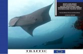 Into the deep: Implementing CITES measures for ...ec.europa.eu/environment/cites/pdf/reports/traffic_pub_fisheries15.pdf · Into the deep: Implementing CITES measures for commercially-valuable