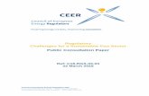 Regulatory Challenges for a Sustainable Gas Sector …...Natural Gas Markets in 2017 Gas Wholesale Markets Volume, ACER/CEER, September 2018. • CEER Future Role of Gas (FROG) Study,