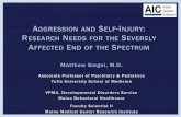 A SELF-INJURY R N S A END OF THE S...A GENDA Aggression and self injury –prevalence and impacts Multi -disciplinary approaches to serious challenging beh aviors Studying the severely