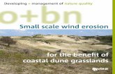 Small scale wind erosion · Dune grasslands with a short vegetation structure, a ... Wadden Islands, Belgium and parts of Aquitaine. Coastal dune management ... Restoration of dune