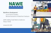 Workforce Development - RDwebaapa.files.cms-plus.com/2020Seminars/ShiftingTrade... · Lauren Brand, President National Association of Waterfront Employers AAPA’s Shifting Trade