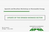 UPDATE OF THE SPANISH BIOMASS SECTOR · Renewable Energy Plan 2005-2010 target for BIOMASS: 1,317 MW Renewable Energy Plan 2005-2010 target for BIOGAS: 250 MW Renewable Energy Plan
