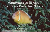 Adaptations for Survival: Symbiosis, Camouﬂage, Mimicry...Symbiosis is Pervasive • The very basis of all eukaryotes (whether protists, plants, animals or fungi) is a result of