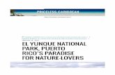BY CHERYL FENTON PUERTO RICO EL YUNQUE ...RICOS-PARADISE-FOR-NATURE-LOVERS/&T=EL YUNQUE NATIONAL PARK, PUERTO RICO’S PARADISE FOR NATURE-LOVERS) | PARK-PUERTO-RICOS-PARADISE-FOR-NATURE-LOVERS