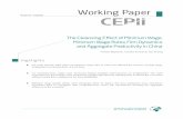 The cleansing effect of minimum wage : Minimum wage rules, … · 2014-10-13 · CEPII Working Paper The Cleansing Effect of Minimum Wage Abstract We study how the 2004 reform of