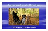 Purity Pest Control Limited - Peel Region · For dogs, a scent article is like 3 three -dimensional “odour image ”, much more detailed than a photograph is for a person Dogs can