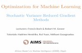 Stochastic Variance Reduced Gradient Methods · Convex Optimization: Algorithms and Complexity How to transform convergence results into iteration complexity Section 1.3.5, R.M. Gower,