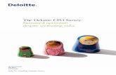 The Deloitte CFO Survey Sustained optimism despite ...foreign demand. The Corporate Growth sub-index reflects corporate views on growth and includes CFOs’ views on the prospects