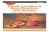 Yecipes inside! South Carolina’s Best Peaches and Berries · Denver Downs Farm Market (peaches) 4915 Clemson Boulevard- Anderson, SC (864) 940-2293 - Featuring Eldon and Rosa Zehr’s