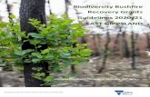 Biodiversity Bushfire Recovery Grants Guidelines...Authority (CMA) areas and to a lesser extent, the Glenelg Hopkins CMA area. Additional funding has been provided by the Victorian