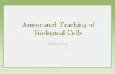 Automated Tracking of Biological Cells · PowerPoint Presentation Author: Lrice10 Created Date: 9/16/2013 4:31:20 PM ...