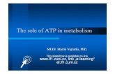 The role of ATP in metabolism · U inner energy H enthalpy = heat content S entropy = measure of randomness F free energy G free enthalpy Cannot be measured absolutely, Cannot be