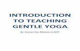 INTRODUCTION TO TEACHING GENTLE YOGAyogavistaacademy.com/wp-content/uploads/2016/05/Intro... · 2020-06-09 · meet a person for a reason, a season or a lifetime. Mary and I met for