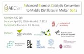 Advanced Biomass Catalytic Conversion to Middle Distillates in Molten … · 2019-06-12 · New technology and strategy for a large and sustainable deployment of second generation