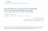 Lost Profits in Commercial Litigation: Proving and ...media.straffordpub.com/products/lost-profits-in... · 12/19/2012  · Start with “risk free” rate then build up Example of