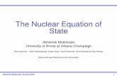 The Nuclear Equation of State · 2008-01-17 · v = 1 N M X I j Iih j M(T) the microcanonical ensemble at temperature T N M= # of elements in M IMixed orthonormalization procedure