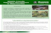 Wildlife Friendly Vegetation Management In Watercourses · Agency, Natural England or Wildlife Trust advisor prior to carrying out weed control. Is the vegetation in the watercourse