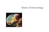 Basic Embryologylibvolume8.xyz/.../frogembryology/frogembryologypresentation1.pdf · Bilaminar embryonic disc: area of contact (gives rise to the whole body) Bilaminar to trilaminar