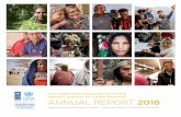 ANNUAL REPORT 2018 - United Nations Development Programme · 2020-05-03 · 64 3.2 Enhancing cross-pillar collaboration 64 Implementing the Humanitarian, Development, Peace Nexus