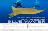 BLUE SHARKS MOBULAS SPERM WHALES BLUE WATER · The blue ocean ﬁlled with life, the warmer summer waters, the islands picturesque nature and the lack of mass tourism all make this