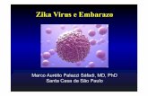 Zika Virus e Embarazoa... · Zika Virus e Embarazo Marco Aurélio Palazzi Sáfadi, MD, PhD Santa Casa de São Paulo. I have no competing interests to declare for this presentattion.