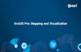 ArcGIS Pro: Mapping and Visualization · Mapping and Visualization Vision •Improve drawing performance and quality •Provide an intuitive and efficient map authoring experience