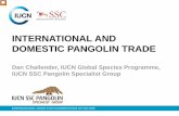 INTERNATIONAL AND DOMESTIC PANGOLIN TRADE · • At CoP11 (2000) Asian pangolins - zero quotas for wild- caught animals traded for commercial purposes established • Since then,