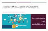 L’Ecosistema delle start up innovative · 2017-10-16 · L’ECOSISTEMA DELLE START UP INNOVATIVE CENNI SUGLI STRUMENTI DI PIANIFICAZIONE (CAPITOLI 2 E 3) Dott. Colella Giuseppe