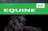 Success beyond the surface EQUINE - Home | Numat · Stable Matting Agrimat Stable Matting produces outstanding outcomes in the stable environment. It’s warmer, quieter and more