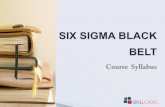 What is SIX SIGMA SIX SIGMA Exam Syllabus SIX SIGMA Exam ...d8fajseshwsed.cloudfront.net/contents/SKILLOGIC_SIX SIGMA BLAC… · What is SIX SIGMA SIX SIGMA Exam Syllabus SIX SIGMA