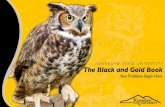 KENNESAW STATE UNIVERSITY · Celebrate your University’s rich traditions and make your own history – then extend the KSU legacy to the next generation. Take flight, mighty Owl!