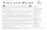 VILLAGE PUMP...On Sunday January 8th, when we will celebrate Epiphany, we will have an afternoon story-telling session aimed at younger children, when we'll follow the invited for